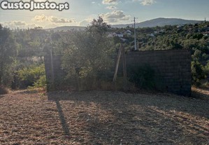 imagem_19