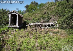 imagem_20