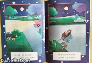 imagem_4