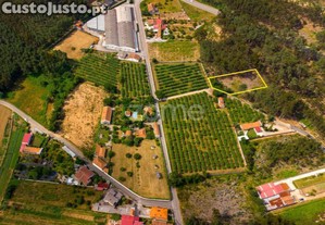Pinhal, Acesso Betuminoso, Estrada Real,...