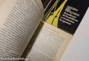 imagem_8
