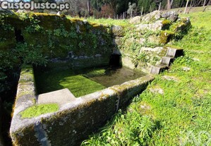 imagem_31