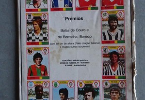 imagem_3