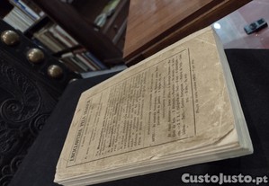 imagem_5
