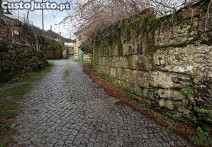 imagem_12