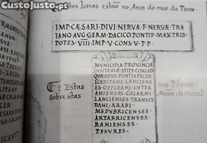 imagem_6