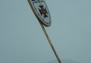 imagem_7