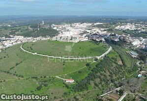 imagem_12