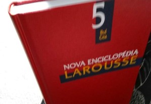 imagem_5