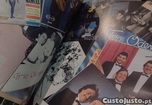 imagem_5