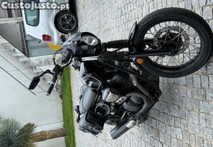 imagem_5