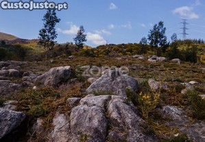 Terreno Versátil De 12.000M² Em Ruivães, Vieira...