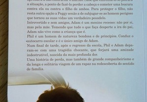 imagem_2