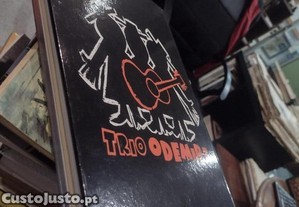 imagem_11