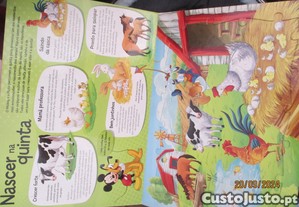 imagem_2