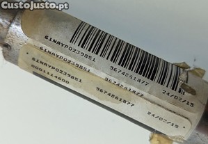 imagem_7