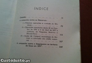 imagem_6