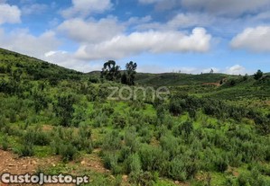 Terreno Rústico De 3 Hectares - Mexilhoeira...