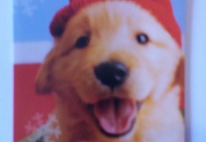 imagem_6
