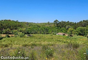 Quinta T2 em São Teotónio de 140,00 m²