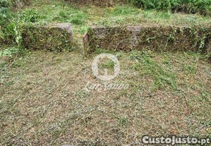 imagem_10
