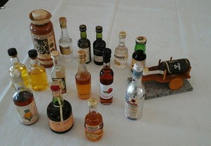 Coleção de 16 mini garrafas várias marcas