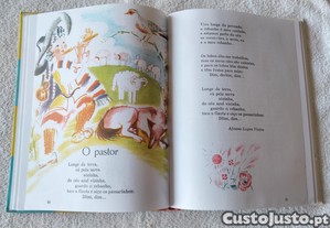 imagem_4