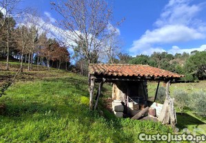 imagem_20