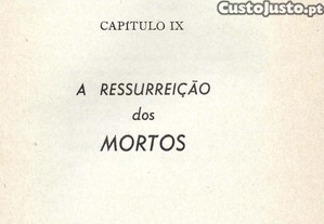 imagem_20