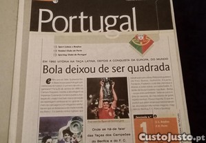 imagem_7