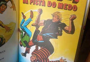 imagem_6