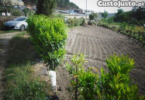 imagem_9