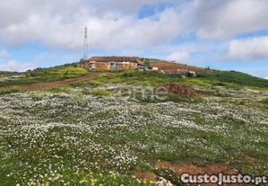 Moradia Com Terreno De 5,15 Ha Em Mexilhoeira...