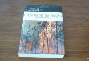 O Estrago da Nação de Pedro Almeida Vieira