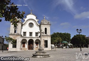 imagem_16