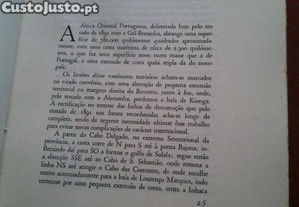 imagem_8