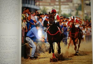 imagem_2