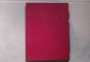 imagem_3