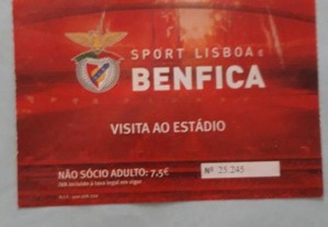 Bilhete visita estadio Benfica