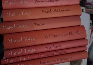imagem_8