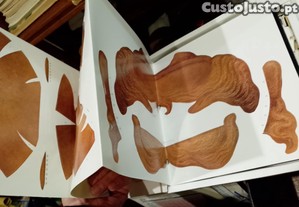 imagem_6