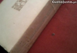 imagem_8