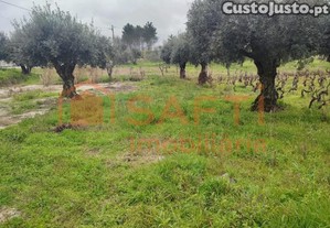 Terreno Para Construção De Moradia Em Ourem