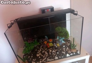 Aquario com filtro e luz