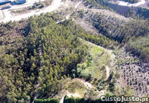 Terreno Com 7550M2 Em Antanhol