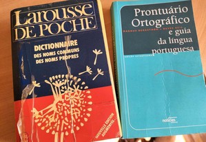 Dicionário Larousse De Poche