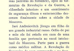 imagem_8