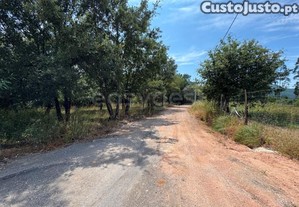 imagem_12