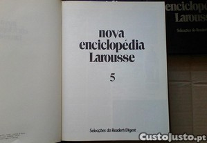 imagem_4