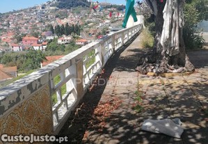 imagem_8